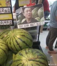 瓜哥免费吃瓜,揭秘娱乐圈幕后真相 第1张 瓜哥免费吃瓜,揭秘娱乐圈幕后真相 第1张